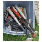 BASEBALL BATS & MITTS