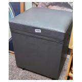 ROLLING STEP STOOL W/ STORAGE