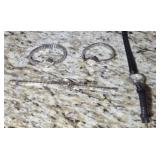 (4) LADIES WATCHES