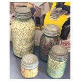 CANNING JARS W/ SEEDS