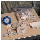 SHELL COLLECTION
