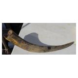 STEER HORN 26 INCH