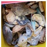 SHELL COLLECTION