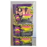 (3) 1991 ROCK SUPERSTAR COLLECTOR CARDS