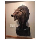 Wildlife Taxidermy -  Mounted Javelina