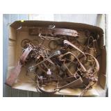 Old Traps