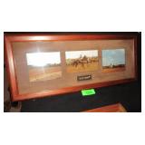 Secretariat Race Horse Picture