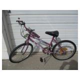 Trepid Magna 16 Speed Bicycle