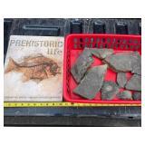 Trilobites & Prehistoric Life Book