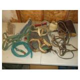 Horse Tack , Bits