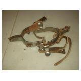 Bull Riding Spurs