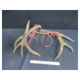 Droptine Blacktail Set