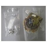 Real Salt Water Oyster With A Pearl Inside