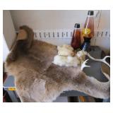 Kangaroo Pelt, Horns, Lava Lamps