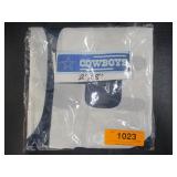 Dallas Cowboys Banner (2