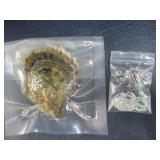 Real Salt Water Oyster With A 7-8mm Round