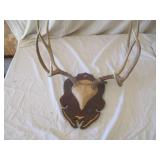Antler Mount