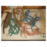 Horse Tack