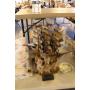 Auction Sale May 10 2025