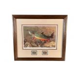Framed Trout Stamp and Print Display
