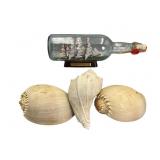 Ship in Bottle with Shell Collection