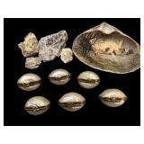 Hand-Painted Clam Shell , Shell Pill Boxes
