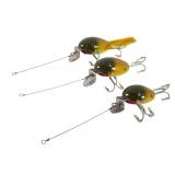 Three Creek Chub Golden Shiner Dingbats Three Creek Chub Golden Shiner Dingbats