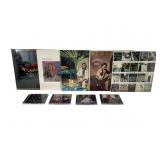 Al Di Meola Records and CDs Collection