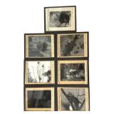 7 W.M. Welch Glass Slides with Animals