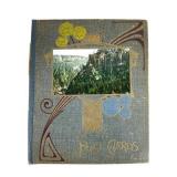 Postcard Book Featuring U.S. Capitols