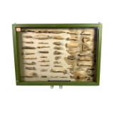 Framed Display of Bone Fossil Fragments