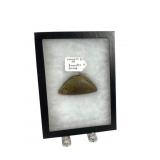 Stone Artifact in Display Frame