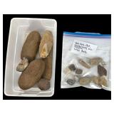 Stone Tools and Fossils