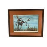 Framed Duck Print, Signed & Numbered