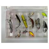 Fishing Lures in Storage Box