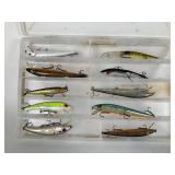 Fishing Lures Assortment With Case