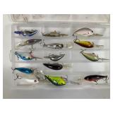 Fishing Lures in Case