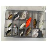Fishing Lure Collection with Case
