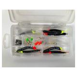 Fishing Lure Set with Case