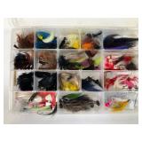 Fishing Lures In Compartment Box