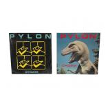 Two Vinyl Records by Pylon on DB Recs