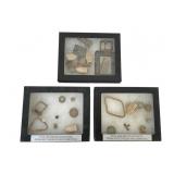 Civil War Relics in Three Display Cases
