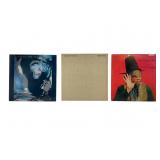 3 Collectible Vinyl Records