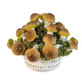 Italian Ceramic Mushroom Basket