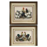 Pair of Framed Chicken Prints