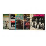 Garage and Punk Vinyl Record Collection