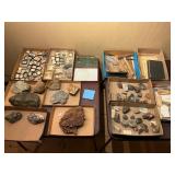 Large Grouping of Museum Mineral Specimens