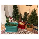 Large Group Of Christmas Trees and Decorations
