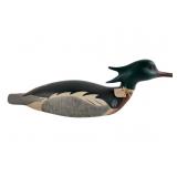Beth Metzger Red-Breasted Merganser Duck