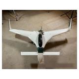 Phoenix Remote-Control Airplane